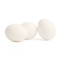 White Eggs, 6 pc